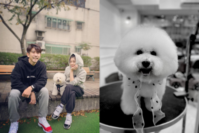 賈靜雯淚別15年狗女兒！　愛犬「挑好時機道別」：是個貼心的寶貝