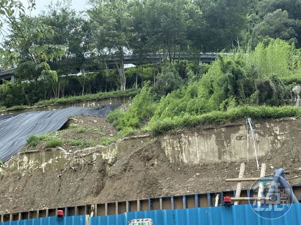 投訴者向本刊指控，太平寶山的樹被砍光。