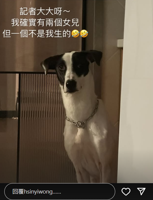 ▲▼翁馨儀。（圖／翻攝自Instagram／hsinyiwong）