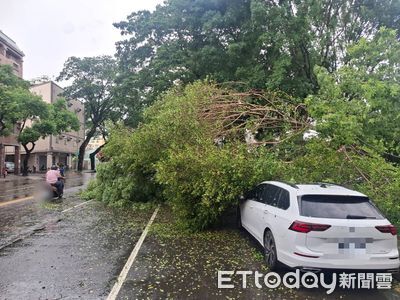 快訊/高雄午後炸雷雨!強風颳倒路樹 2車停路邊衰遭砸