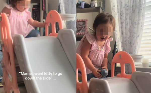 想和貓咪玩！女童突拿出「一盒骨灰」爆紅　背後催淚原因曝光。（圖／翻攝自TikTok／nicolexjuliana）