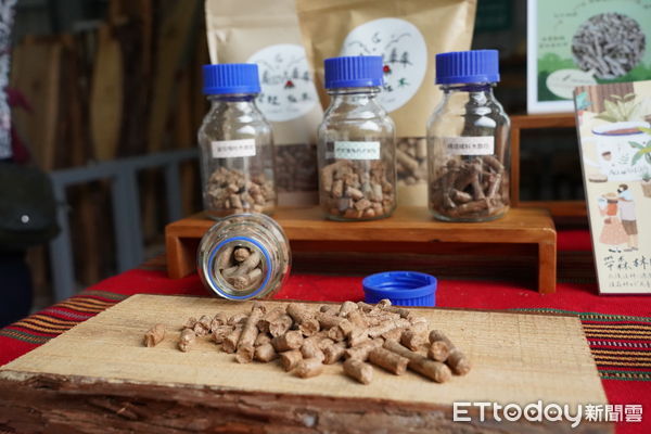 ▲「丹巒之森-林業永續循環利用基地」揭牌啟用，為南投首座林業循環利用場域。（圖／林業保育署南投分署提供）