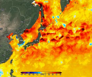 鄭明典一圖揭海溫異常!日本周邊一片紅通通「今年會很熱」