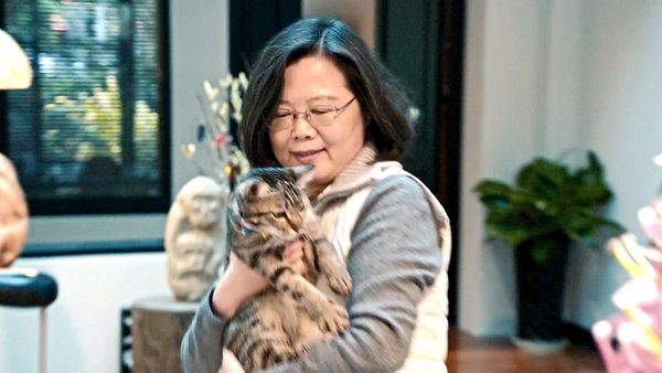 ▲《看不見的國家》掀觀影熱潮，上映7天票房破千萬。（圖／海鵬提供）