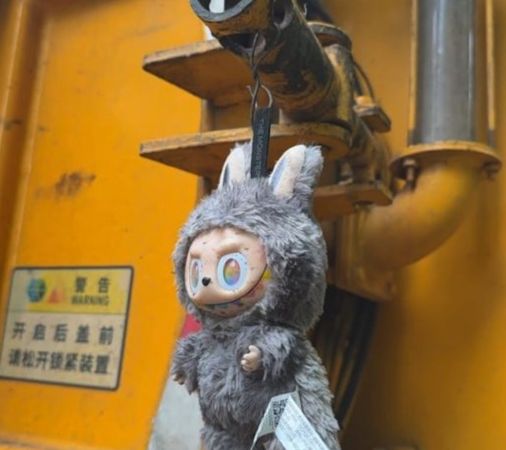 ▲▼Labubu掛水肥車後！她一查竟是「第三代隱藏款」。（圖／翻攝抖音）