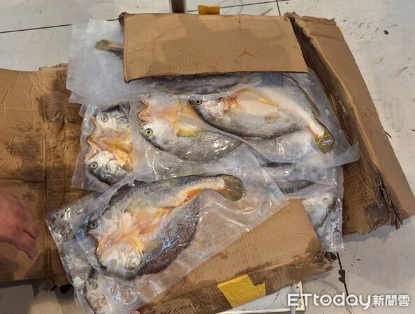 ▲▼海巡署查獲大陸運來的冷凍水產品。（圖／記者郭世賢翻攝）
