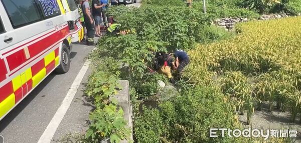 ▲台東老翁疑中暑騎車摔進農田。（圖／記者楊晨東翻攝）