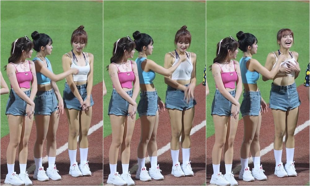 ▲▼             。（圖／翻攝自Facebook／走一日球迷 台湾プロ野球チア）