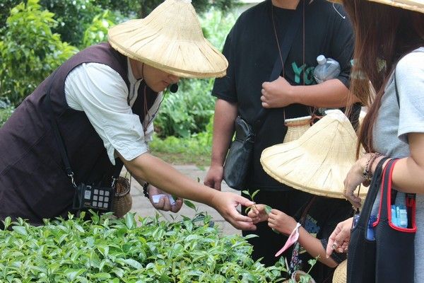 ▲桃園客家七大館舍暑期《夏日玩客島》啟動