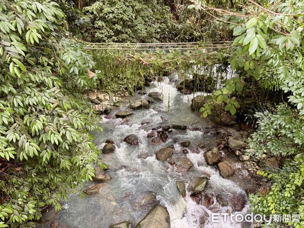 ▲沙巴波令樹頂吊橋（Poring Canopy Walkway）,波令溫泉（Poring Hot Spring）,沙巴旅遊,馬來西亞旅遊。（圖／記者彭懷玉攝）