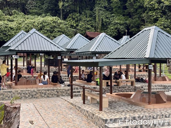 ▲沙巴波令樹頂吊橋（Poring Canopy Walkway）,波令溫泉（Poring Hot Spring）,沙巴旅遊,馬來西亞旅遊。（圖／記者彭懷玉攝）