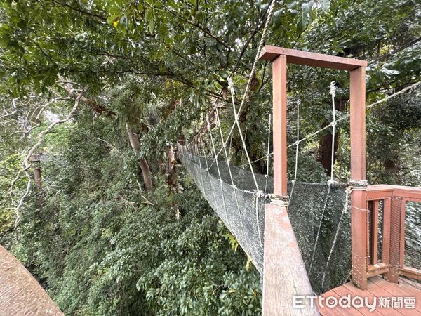 ▲沙巴波令樹頂吊橋（Poring Canopy Walkway）,波令溫泉（Poring Hot Spring）,沙巴旅遊,馬來西亞旅遊。（圖／記者彭懷玉攝）