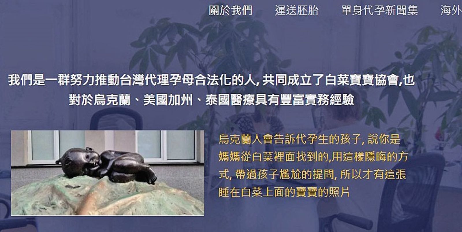 吳素慧後來成立「白菜寶寶協會」，宣稱要推動代理孕母合法化，並且提供代辦諮詢服務。（翻攝白菜寶寶協會官網）