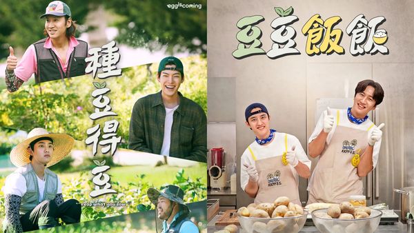▲ 《種豆得豆》。（圖／翻攝自愛奇藝）