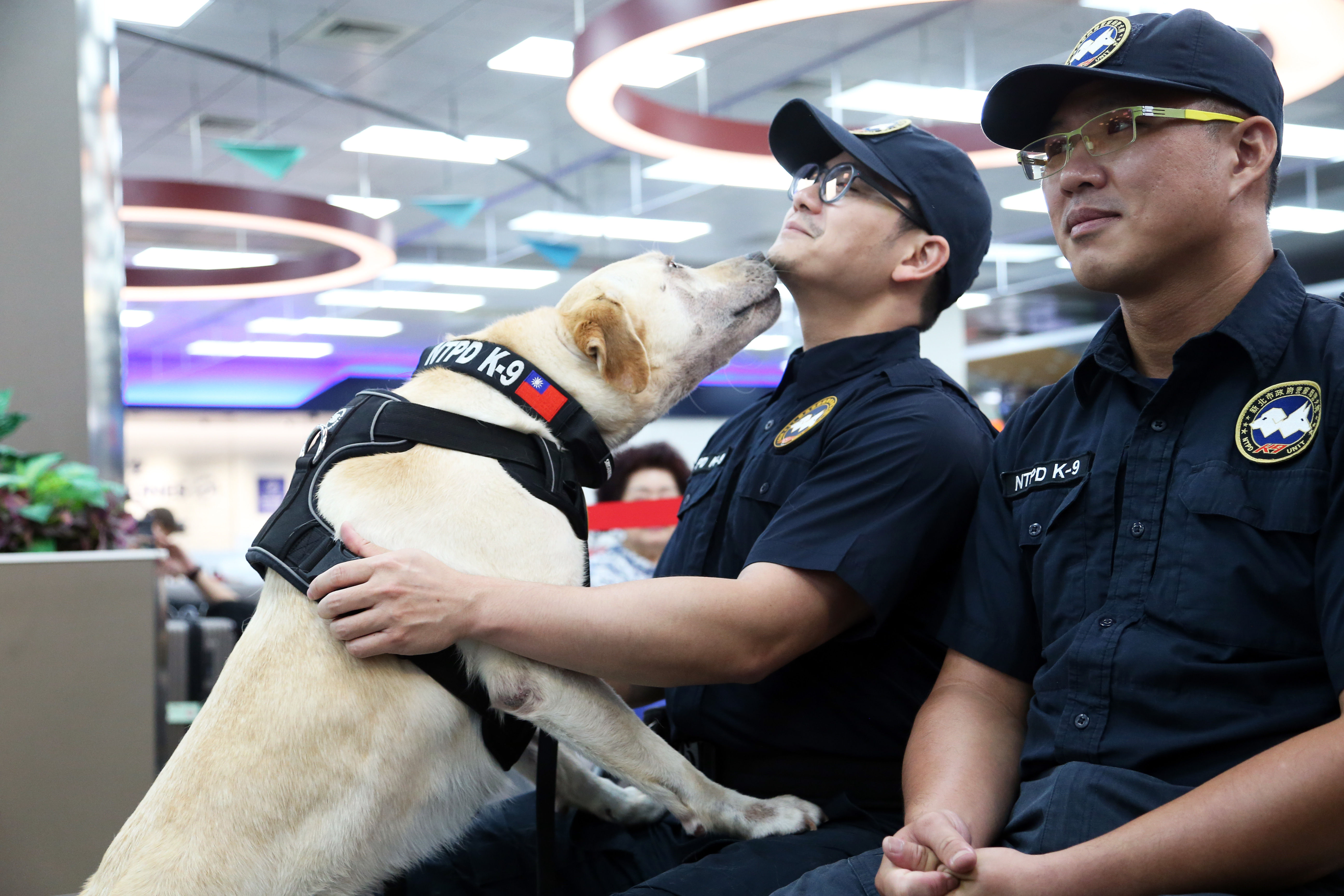 ▲▼ 執勤犬,保險,農業部,政府,動物。（圖／農業部提供）