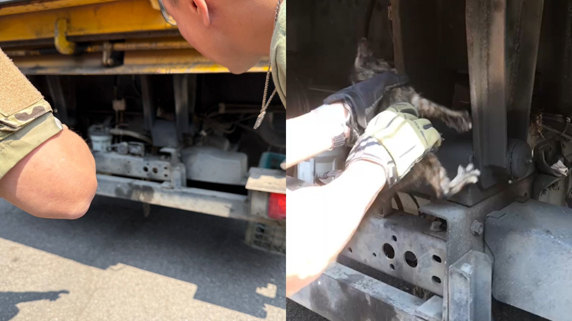 ▲新北掃街車暗藏喵星人 動保員救援過程全紀錄。（圖／新北市動保處提供）