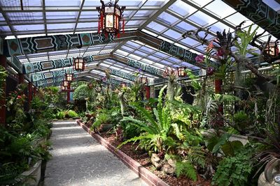 免費賞！北市就有「雨林植物展」
