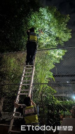 ▲潮州警分局員警幫李男找回「折衷鸚鵡」。（圖／記者陳崑福翻攝）