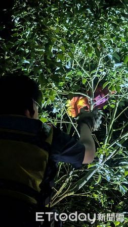 ▲潮州警分局員警幫李男找回「折衷鸚鵡」。（圖／記者陳崑福翻攝）