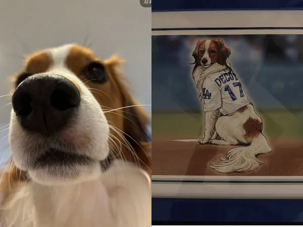 ▲▼     破天荒！大谷翔平在社群公開愛犬Dekopin化身《遊戲王》卡片　還曬出「休假日」最新近況照        。（圖／截自大谷翔平IG$