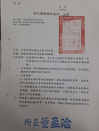 ▲彰化動物防疫所公告黑王蛇將於27日開放認養。（圖／翻攝自彰化縣動物防疫所）