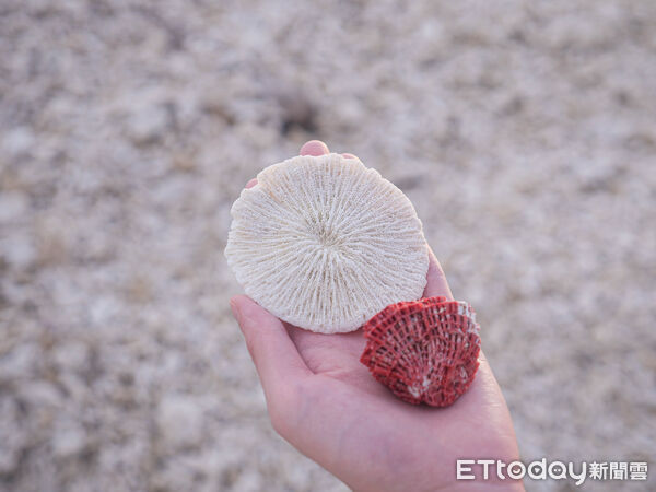 ▲馬來西亞沙巴,曼塔那尼島（Mantanani Island）又稱「美人魚島」,沙巴州旅遊,沙巴旅遊, Sutera@Mantanani。（圖／記者彭懷玉攝）