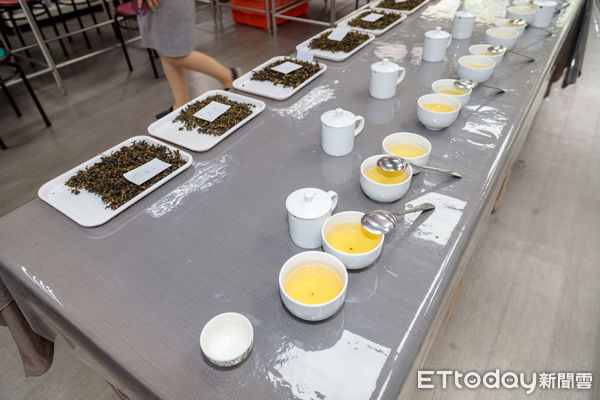 ▲▼  清香烏龍茶製茶技術競賽成績揭曉，將擇優代表參加全國賽    。（圖／嘉義縣政府提供）