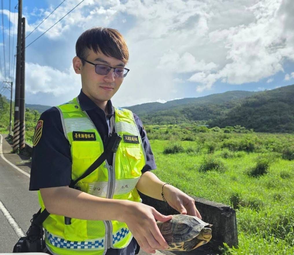 ▲員警將烏龜移至鄰近的安全草叢中。（圖／記者楊晨東翻攝）