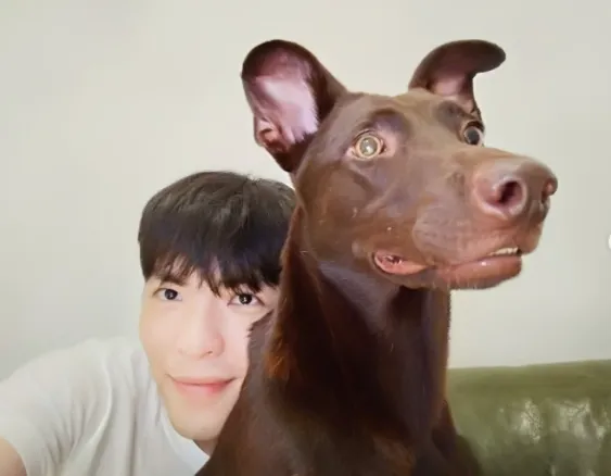 ▲蕭敬騰在社群悲傷透露愛犬離開的消息。（圖／翻攝自蕭敬騰Insatgram）