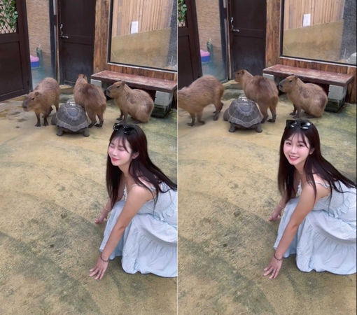 就愛鮮肉1／「小龍女」賴可死會！揪統一獅林佳緯上演8小時馬拉松約會