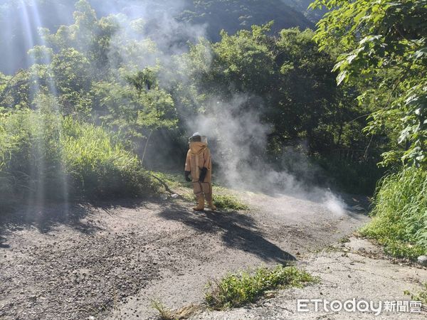 ▲▼高雄桃源區驚傳虎頭蜂攻擊！1女雙手遭蜇傷緊急送醫。（圖／記者賴文萱翻攝）