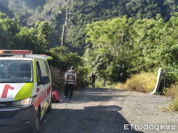 ▲▼高雄桃源區驚傳虎頭蜂攻擊！1女雙手遭蜇傷緊急送醫。（圖／記者賴文萱翻攝）