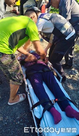 ▲▼高雄山區驚傳虎頭蜂攻擊婦人。（圖／記者賴文萱翻攝）