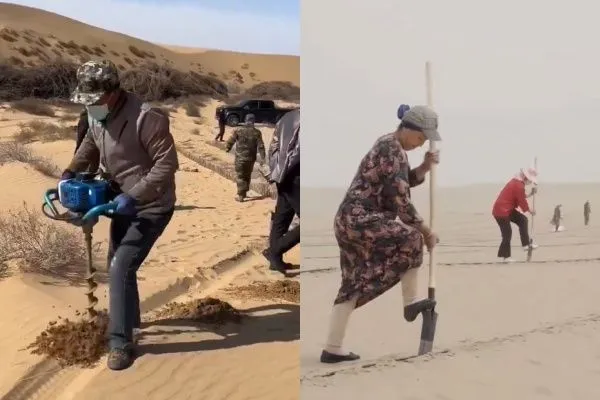 ▲治沙人。（圖／翻攝自微博）