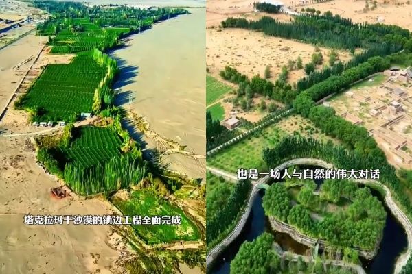 ▲▼中國「死亡之海」將成大綠洲。（圖／翻攝自微博）