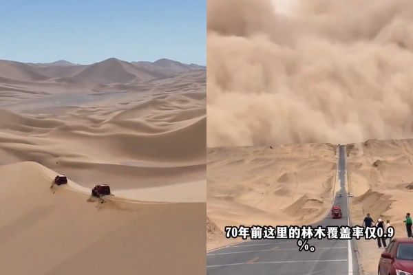 ▲▼中國「死亡之海」將成大綠洲。（圖／翻攝自微博）