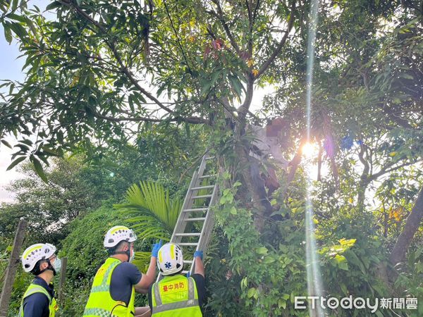 ▲▼             。（圖／記者李陳信得攝）