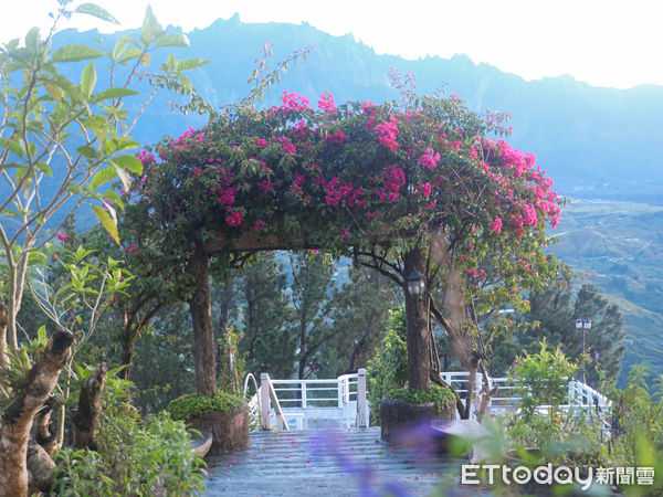 ▲沙巴Perkasa Hotel Mt. Kinabalu,沙巴旅遊。（圖／記者彭懷玉攝）
