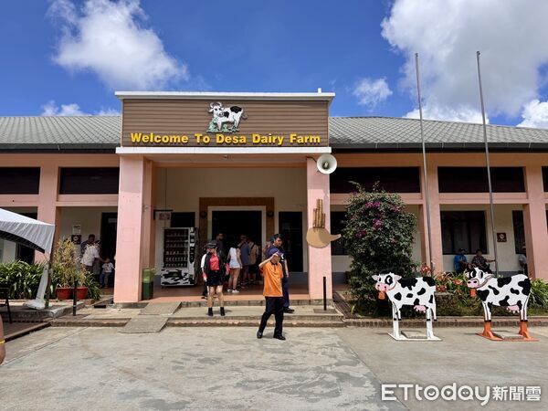 ▲沙巴德薩乳牛牧場（Desa Cattle Dairy Farm）,沙巴旅遊,沙巴景點,馬來西亞旅遊。（圖／記者彭懷玉攝）