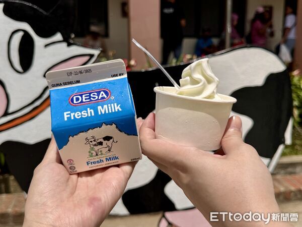 ▲沙巴德薩乳牛牧場（Desa Cattle Dairy Farm）,沙巴旅遊,沙巴景點,馬來西亞旅遊。（圖／記者彭懷玉攝）