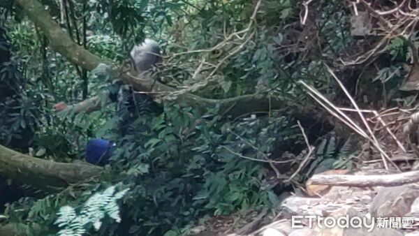 ▲▼快訊／27歲男獨自彎刀縱走2天未進食求救　直升機吊掛送醫。（圖／記者陳崑福翻攝）