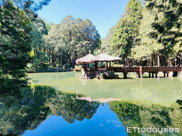 ▲▼    搭乘台灣好行輕鬆出遊阿里山風景區管理處再抽阿里山賓館住宿券、來回機票  。（圖／阿里山賓館提供）