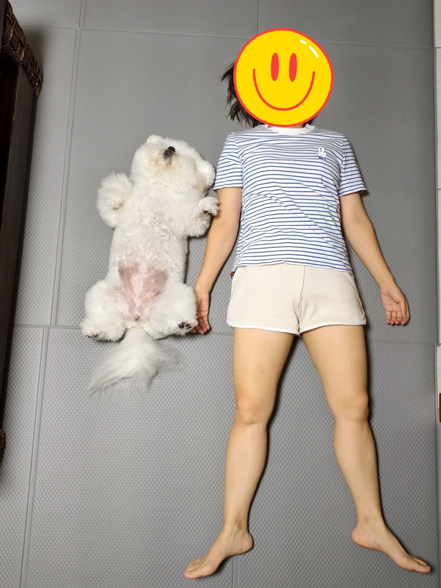 ▲奴才練瑜珈比熊參一咖！　７.6公斤「負重器材」媽笑：最會軟爛式。（圖／心柑寶貝 椪柑234 提供，請勿隨意翻拍，以免侵權。）