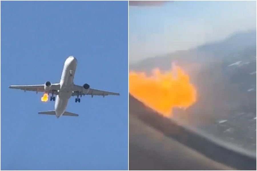 ▲▼             。（圖／翻攝自X）