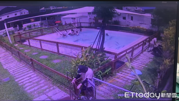 ▲▼             。（圖／記者陳崑福翻攝）