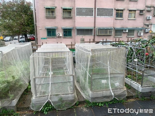 ▲▼花蓮縣總共10個示範點，廚餘產出之有機堆肥用於社區開心農場、綠美化環境及農作物施灑，成效良好。（圖／花蓮縣政府提供，下同）