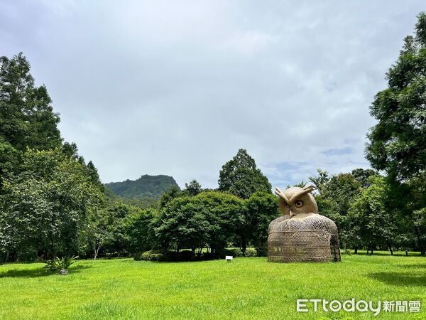▲奧萬大園區推出周年慶優惠，7月1日至6日入園只要10元。（圖／林業保育署南投分署提供）