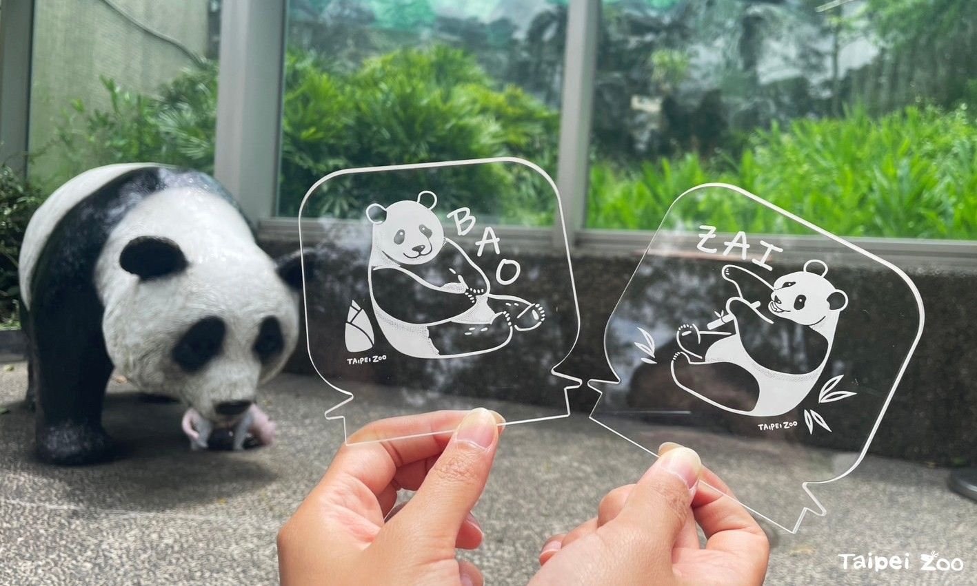 ▲大熊貓圓寶5歲生日。（圖／翻攝自Facebook／臺北市立動物園）
