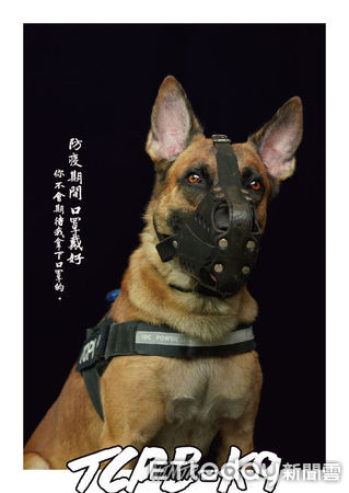 ▲。（圖／臺中市政府警察局警犬隊提供）