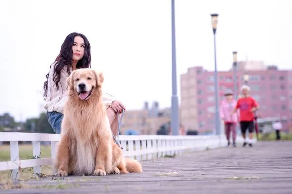 ▲《謊島美人魚》溫碧霞、歸亞蕾和禾浩辰。（圖／華映提供）